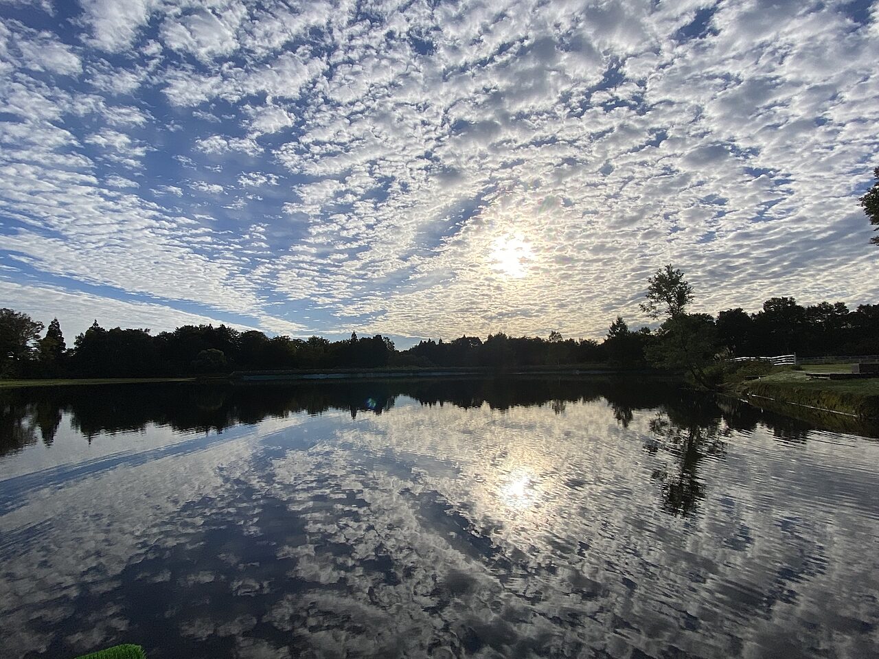 Summer Lake Nozawa