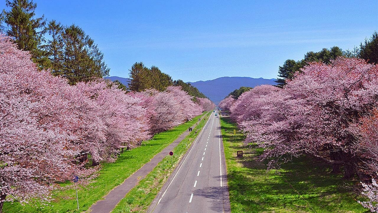 Nijukken Road