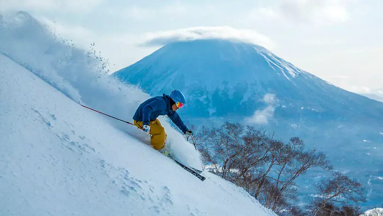 Ski Yotei Powder Image