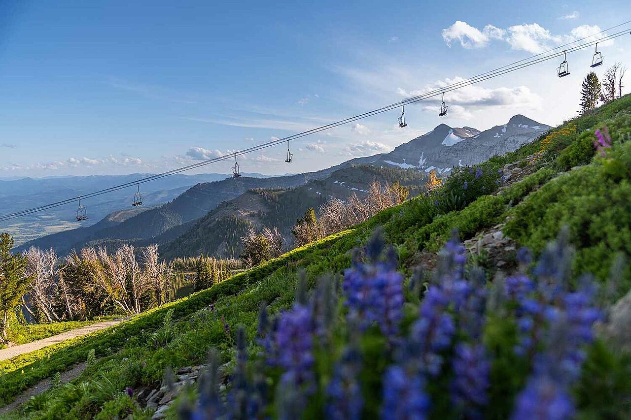 Ski resort summer