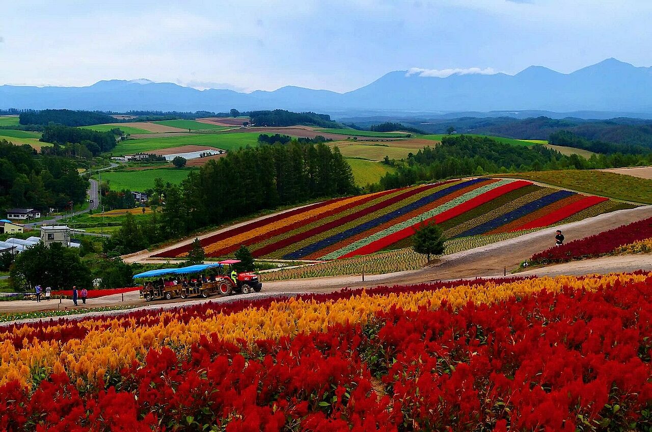 Furano summer nisade