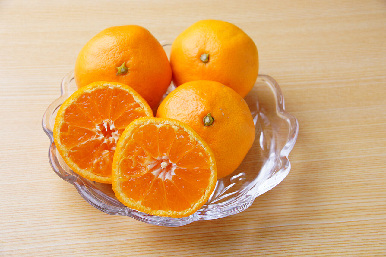 Shutterstock 1742206559