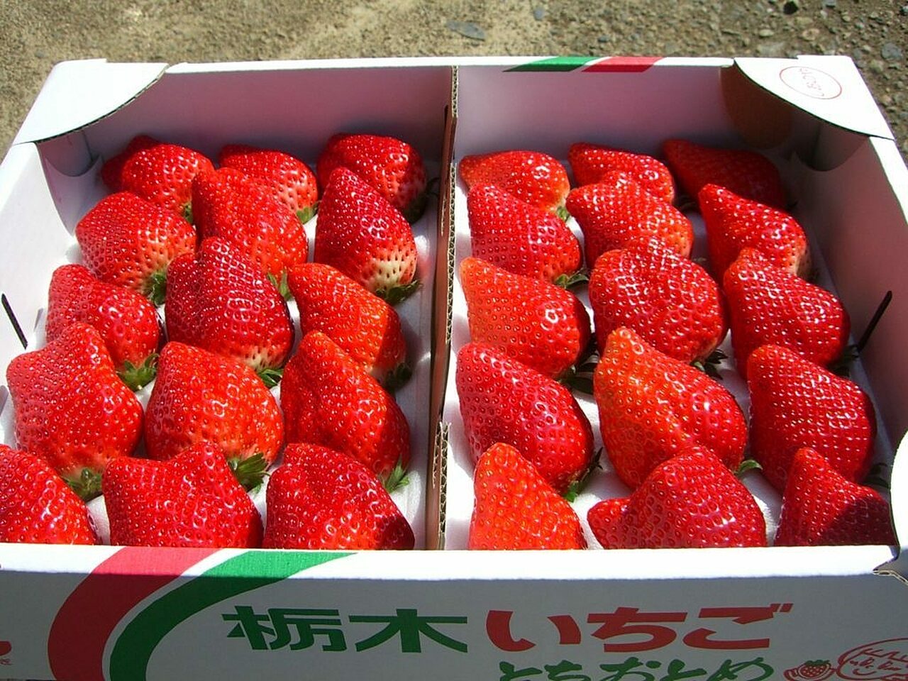 Img10633960772 1024x768