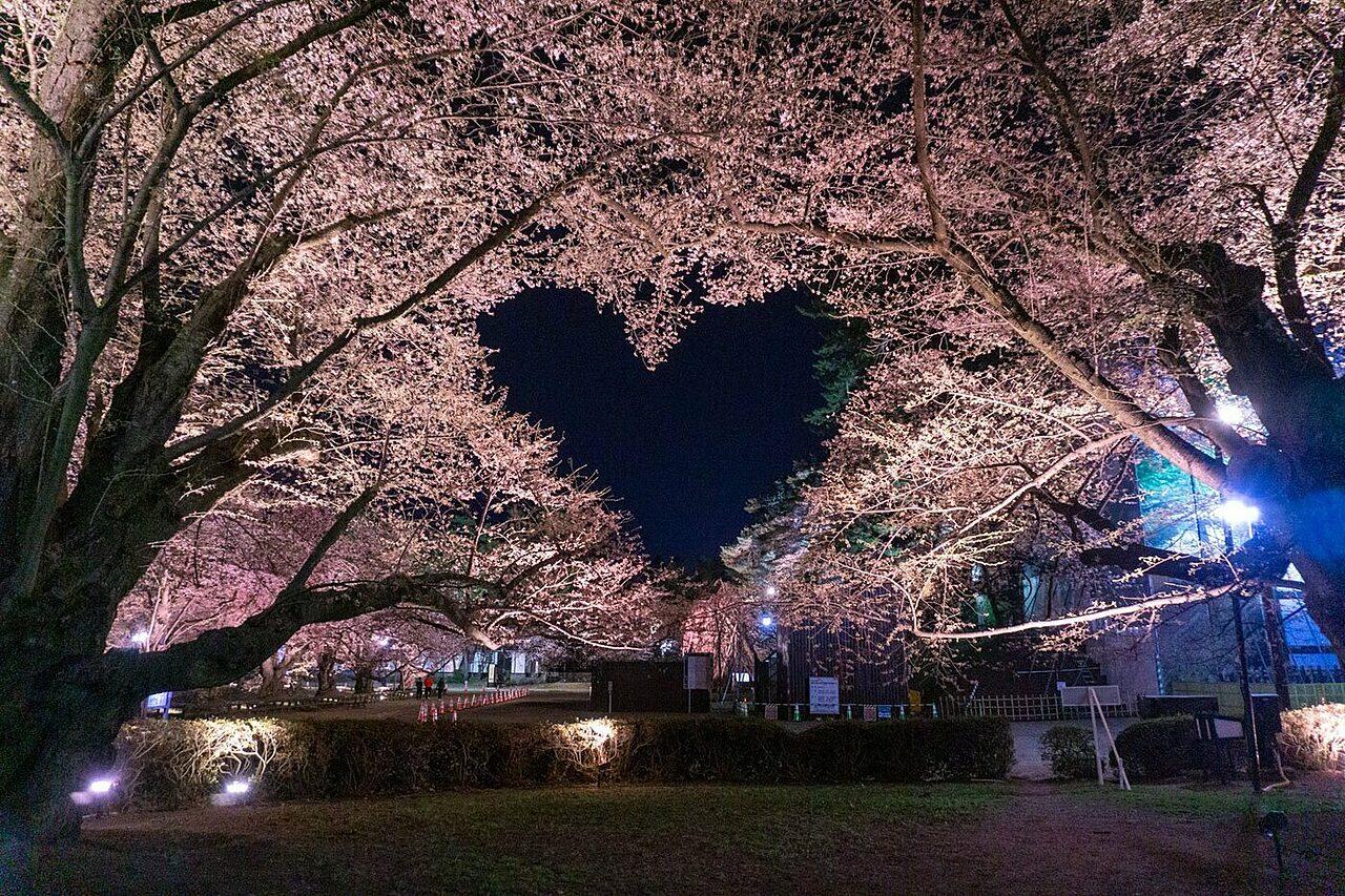 Park heart