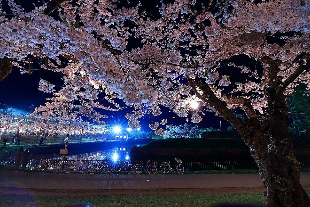 20240223 pixta 30349127 M