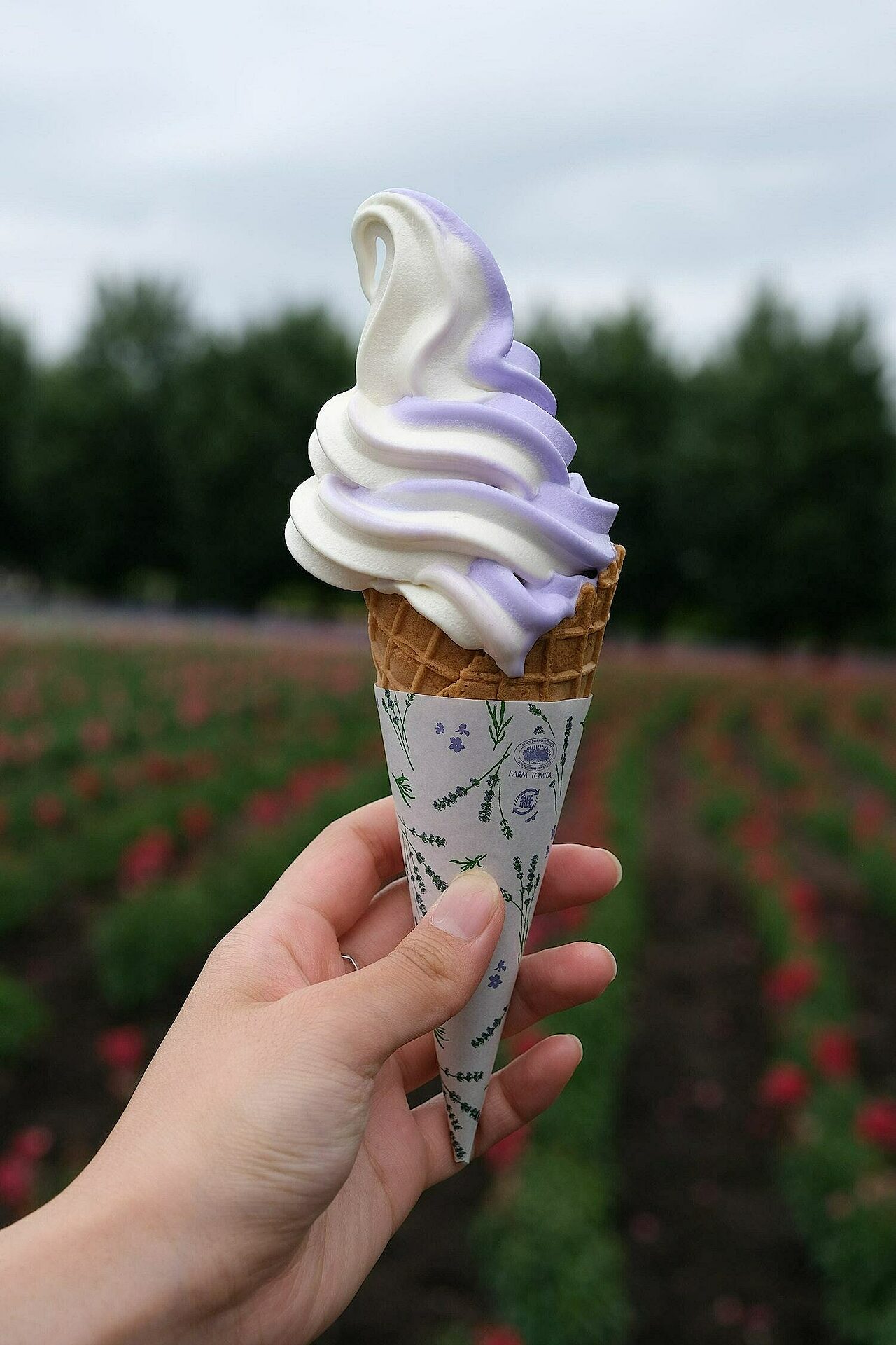 Furano Lavender Icecream 2023 05 24 060451 fhzr 01