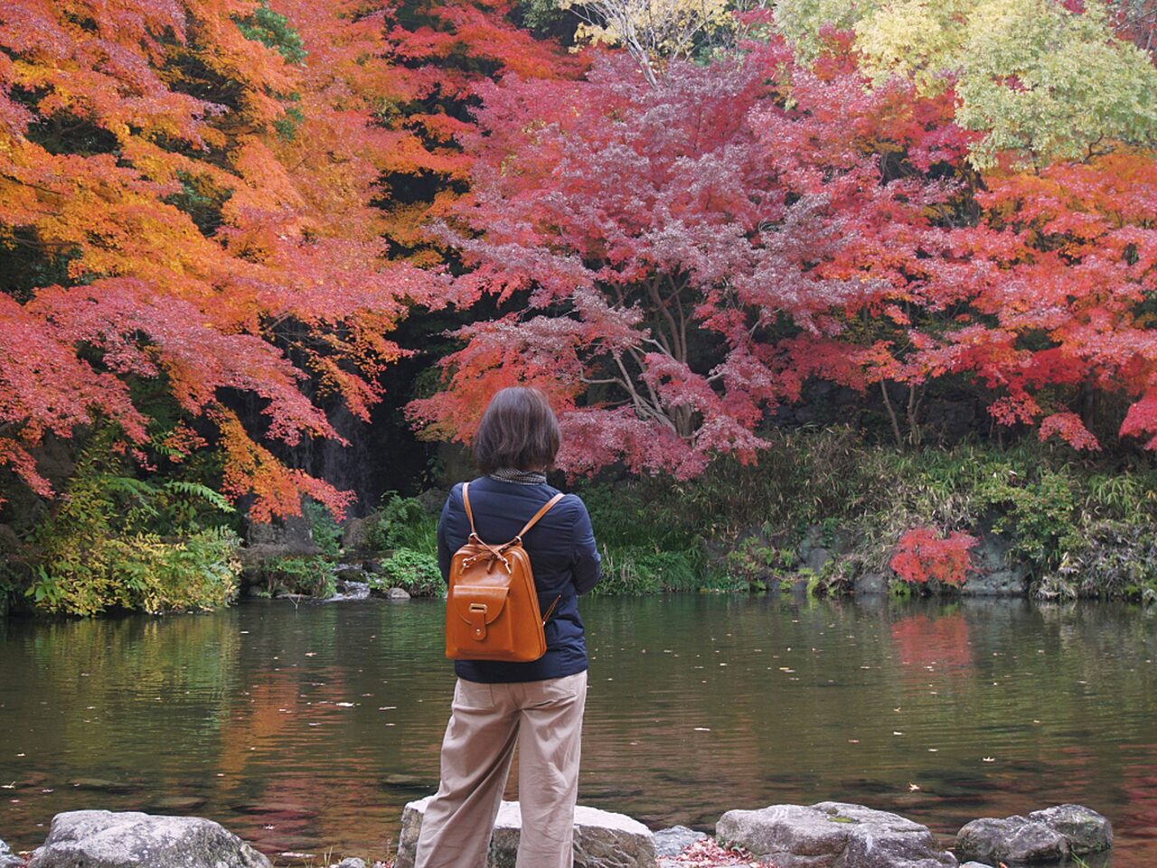 Leaf viewing in Japan Syadza Salsabyla