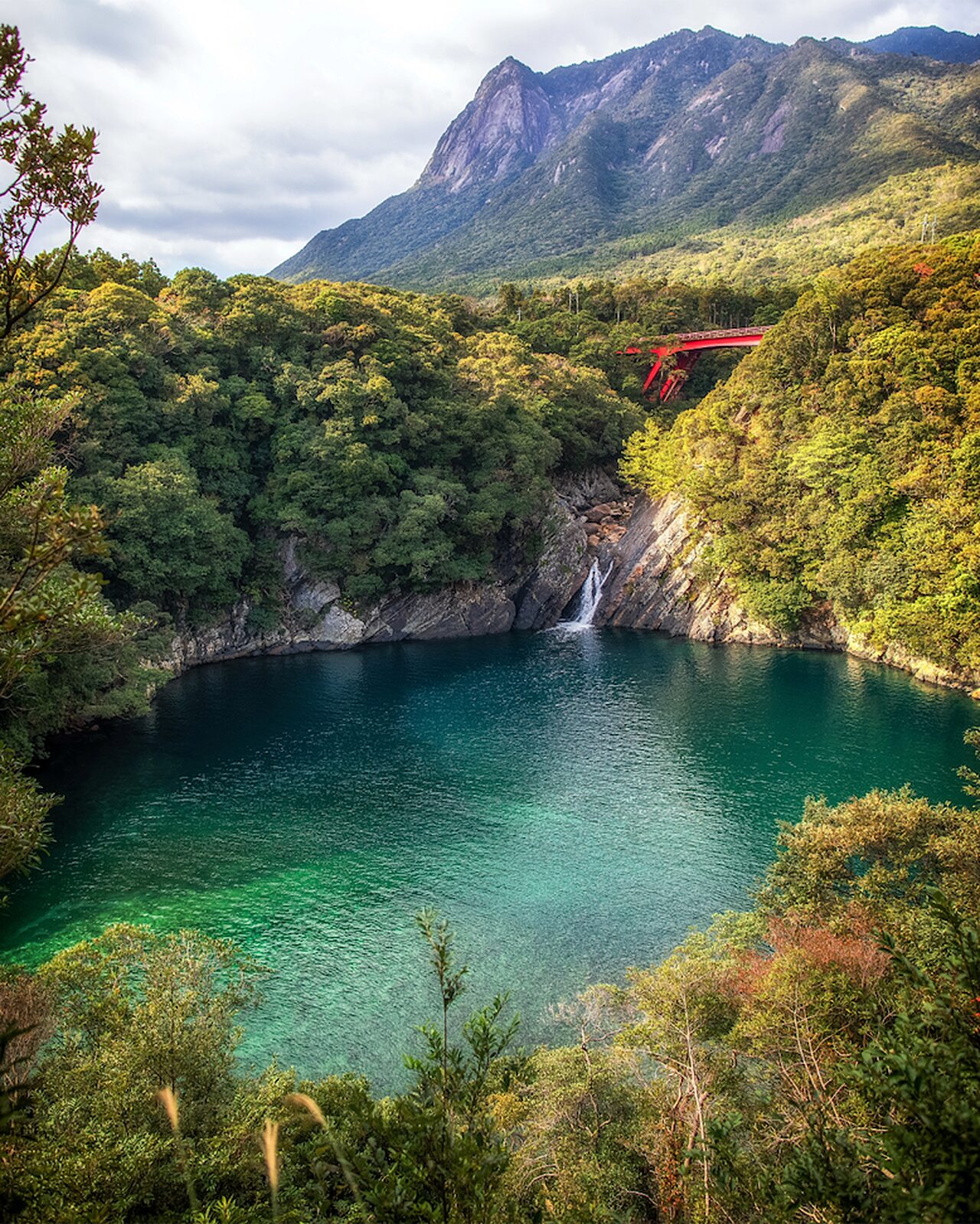 Yakushima japantravelcom