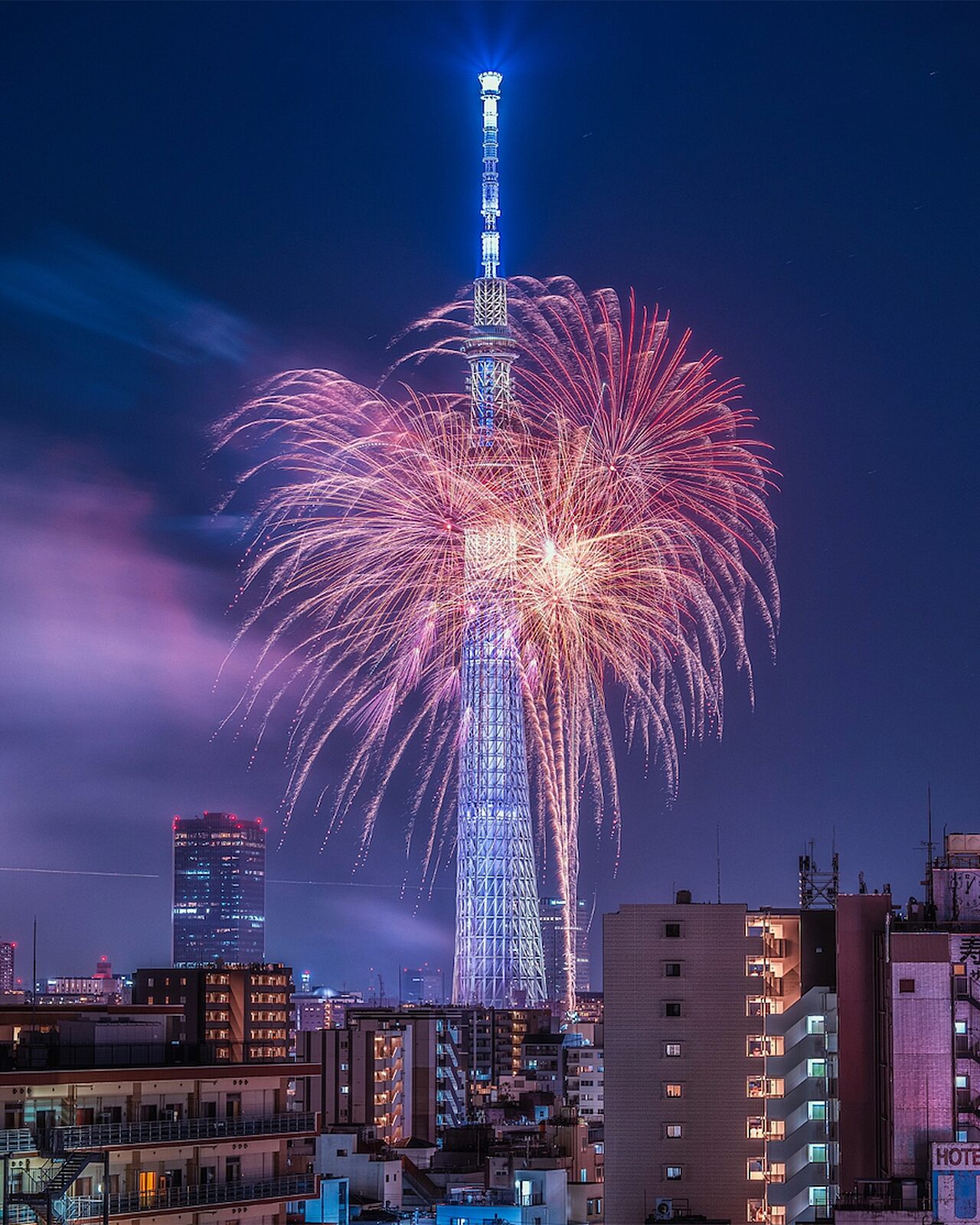 Sumidagawa fireworks comp sugi hid