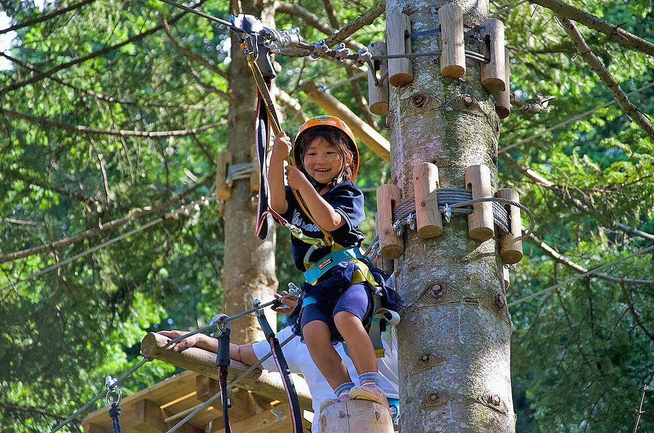 662f42a65afe7ca36e23a249 5eba4f7d950ab691bbdb1ed5 kids activities