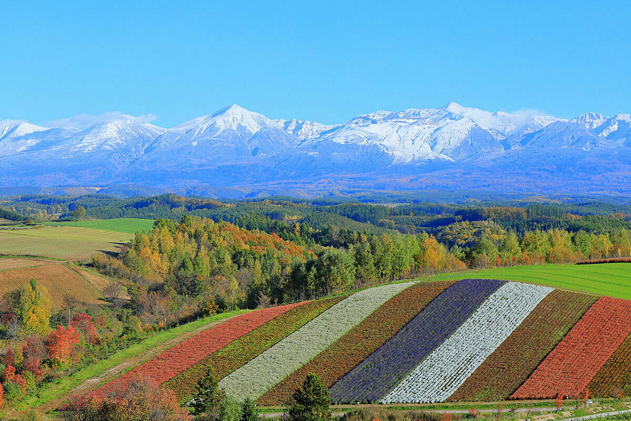 Autumn in Furano 01