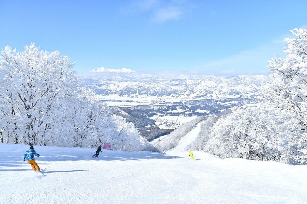 Carve Up The Slopes