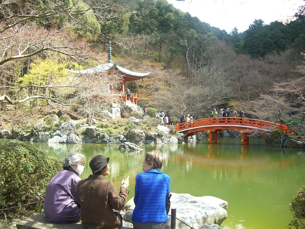 Cherry Blossom Kyoto2
