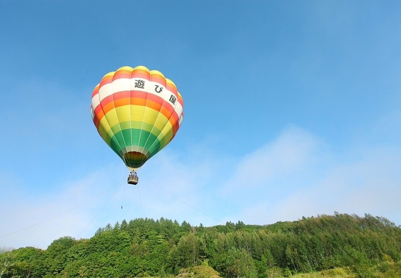 Fly Up Up And Away