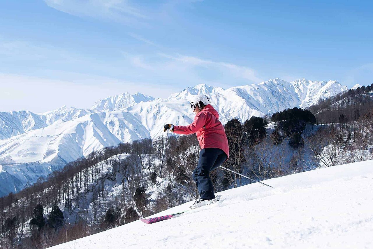 Go With The Snow
