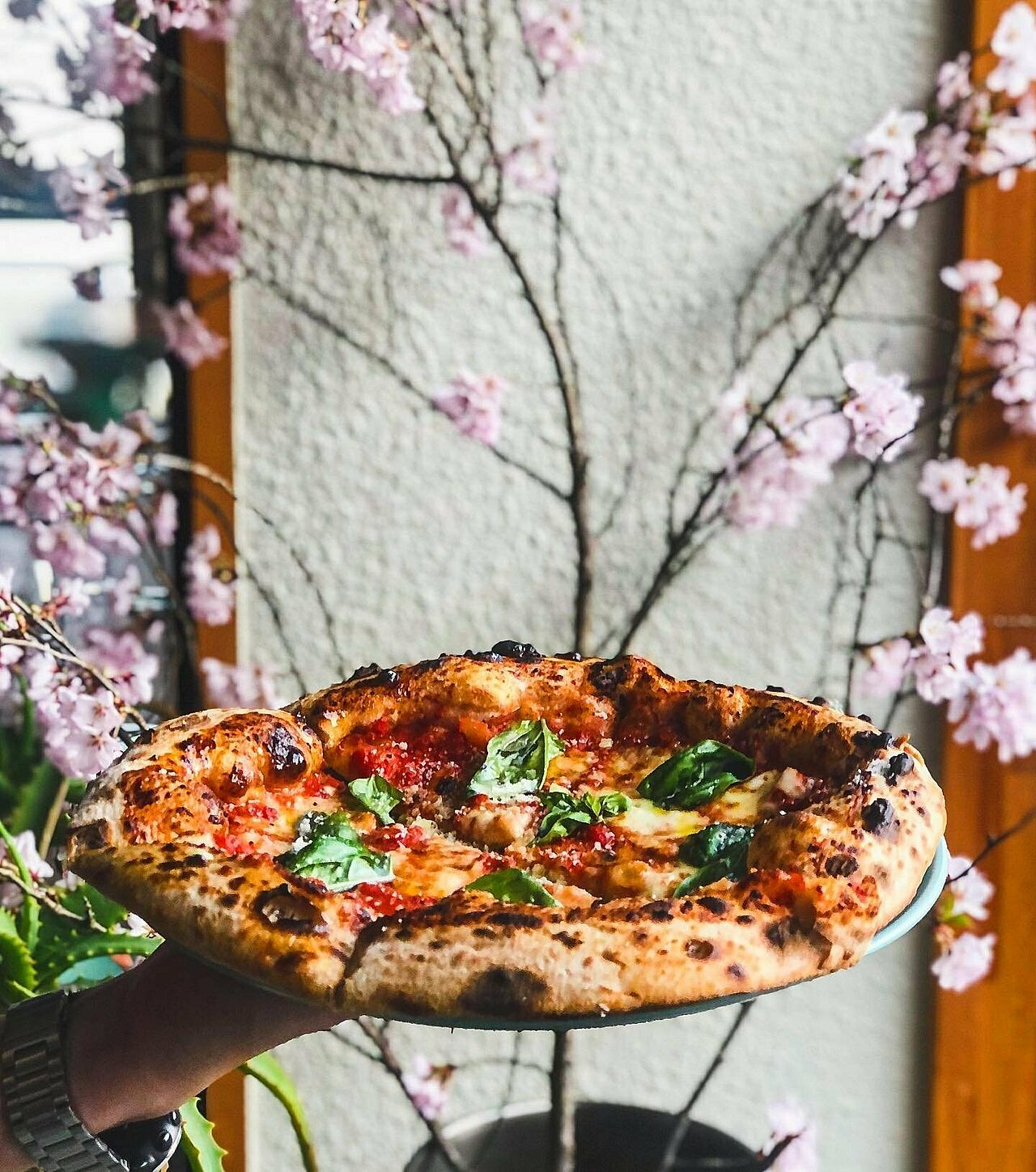 Gochisou Pizza