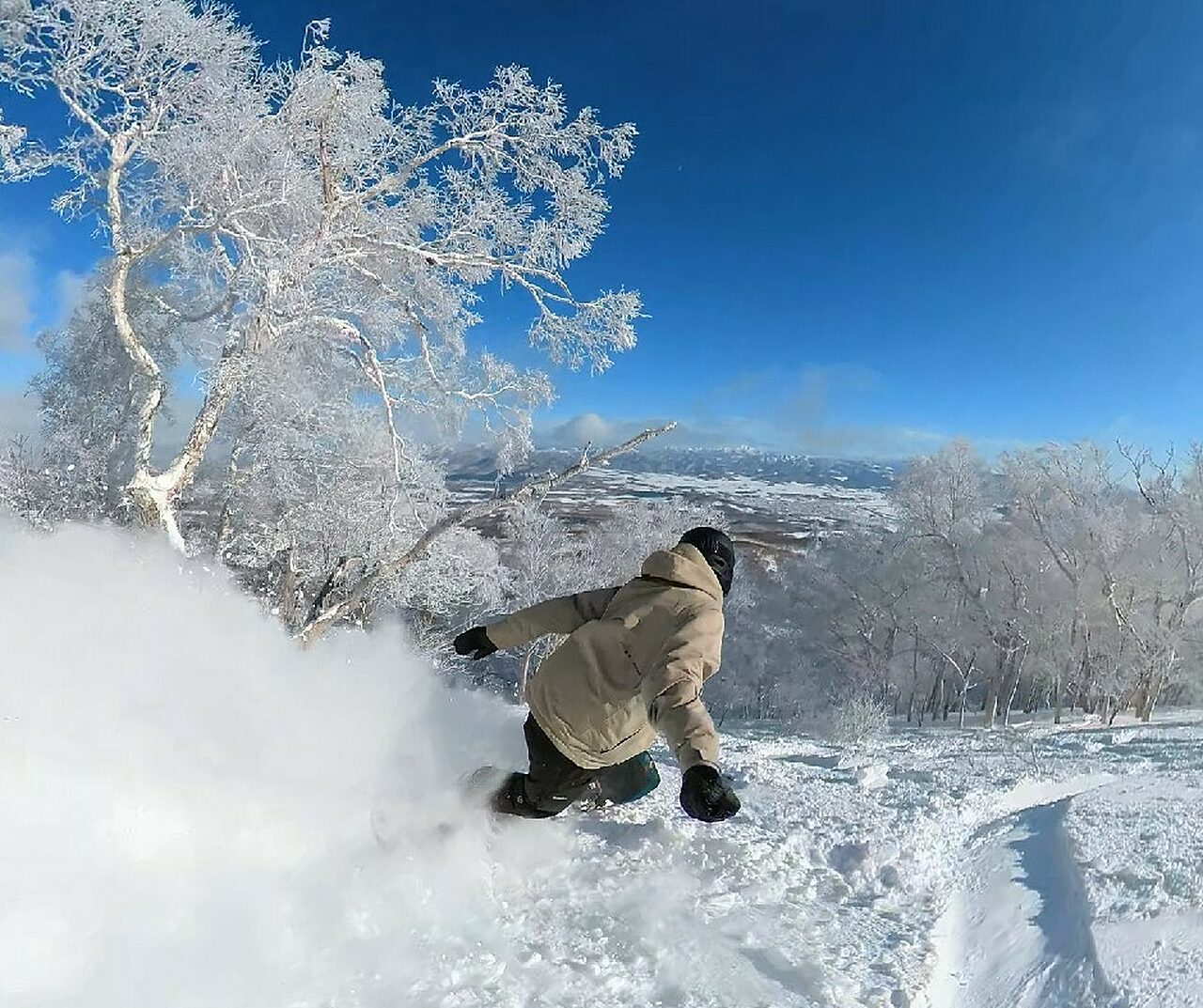 Japan Snow Ikon