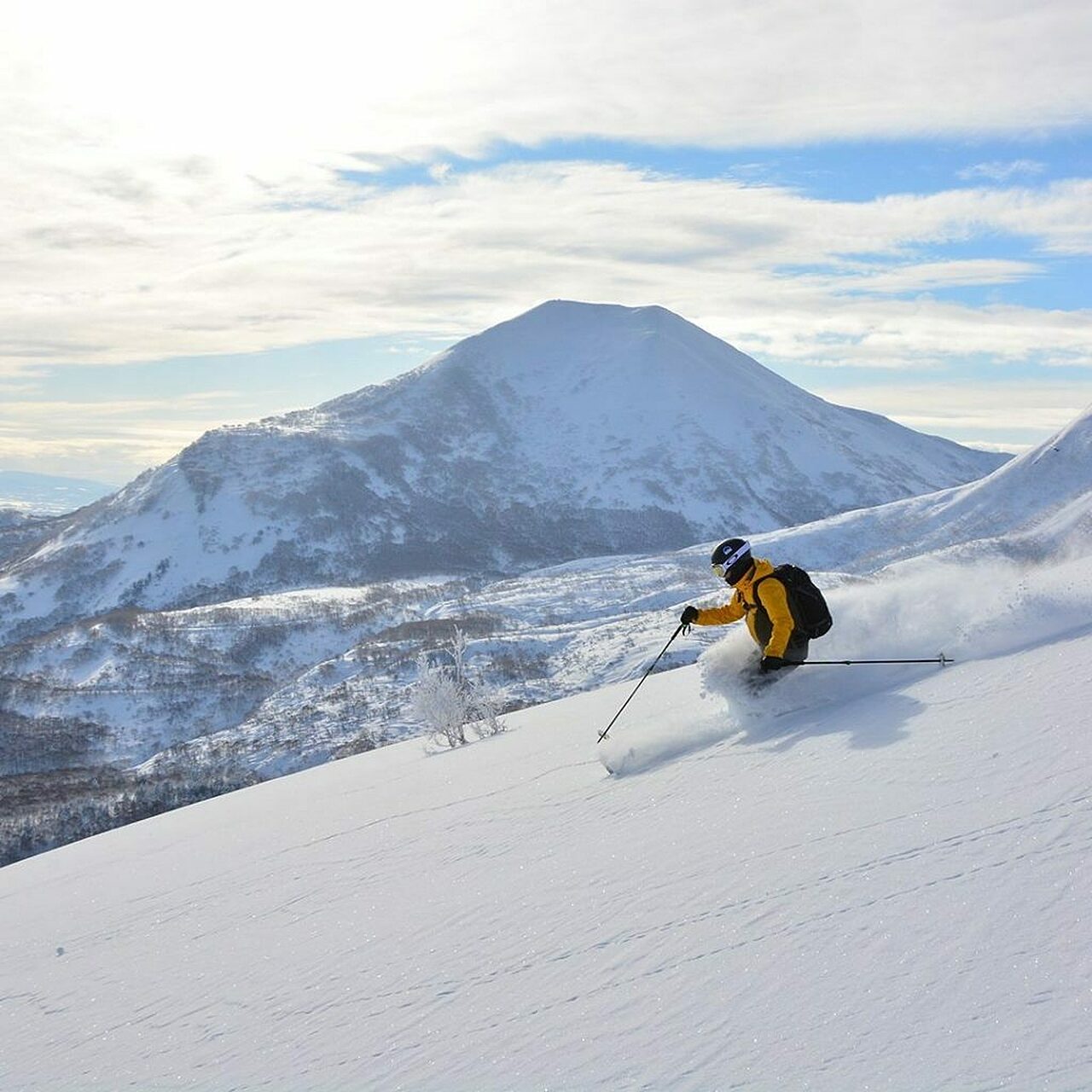 Niseko Japow Skier
