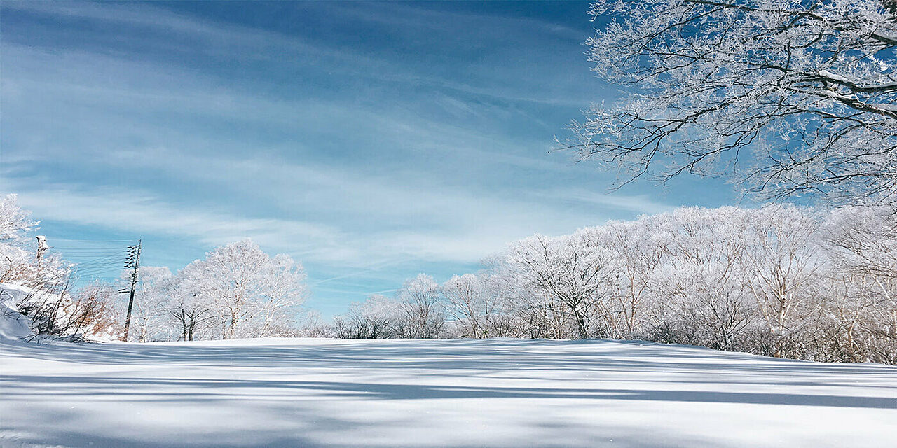 Nozawa Winter Scenery 2