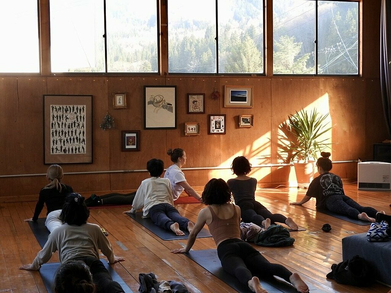 Nozawa Yoga