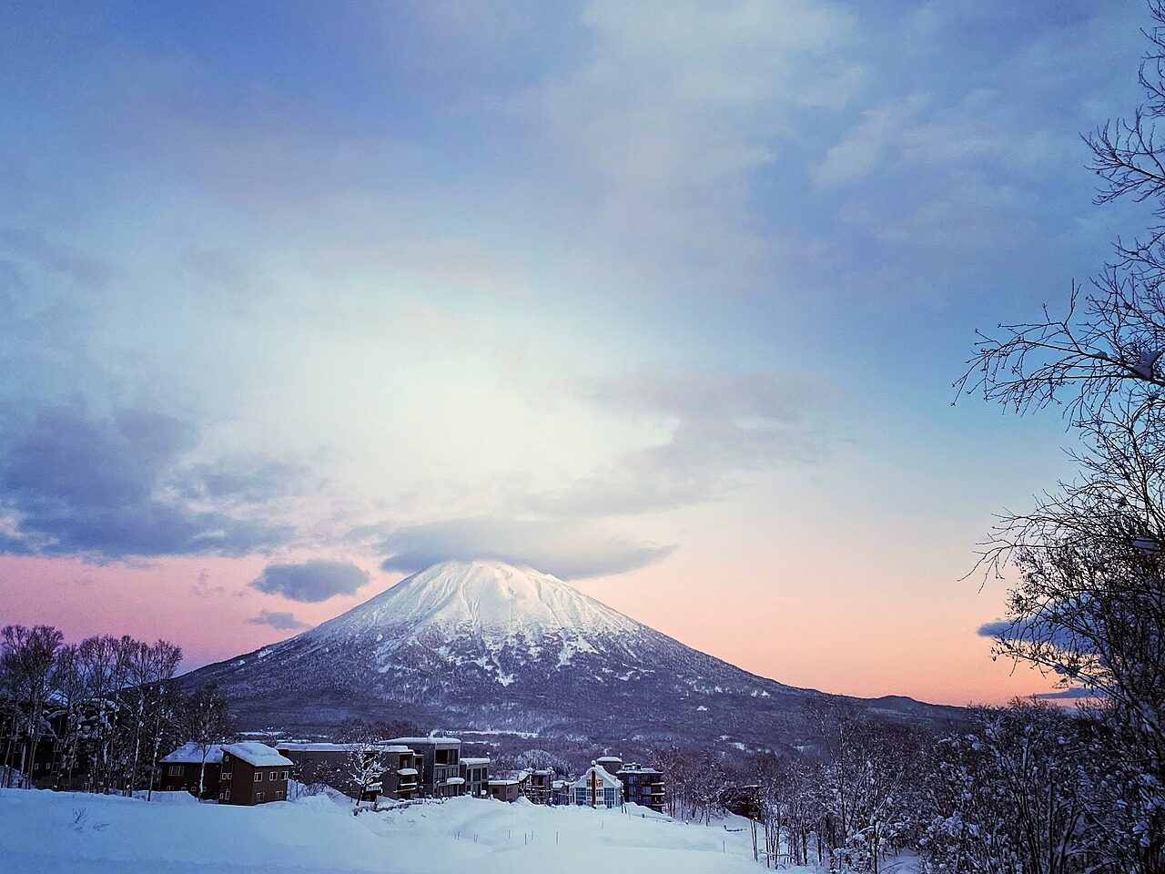 Pink Yotei