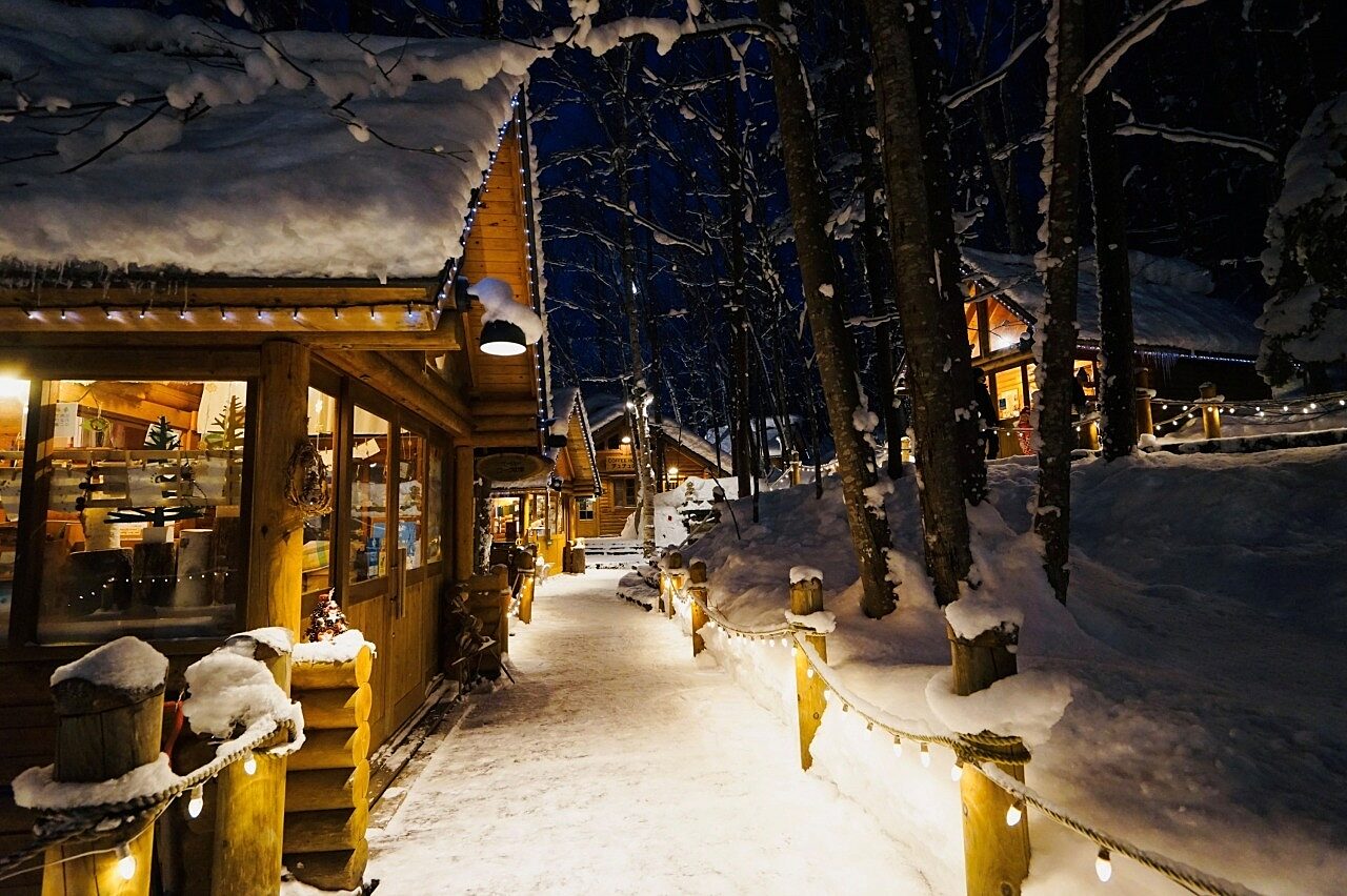 Shop In The Forest