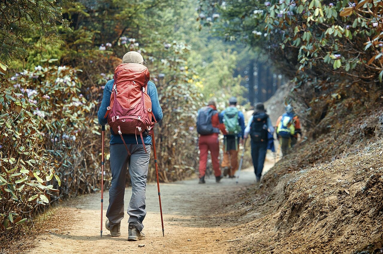 Take A Hike