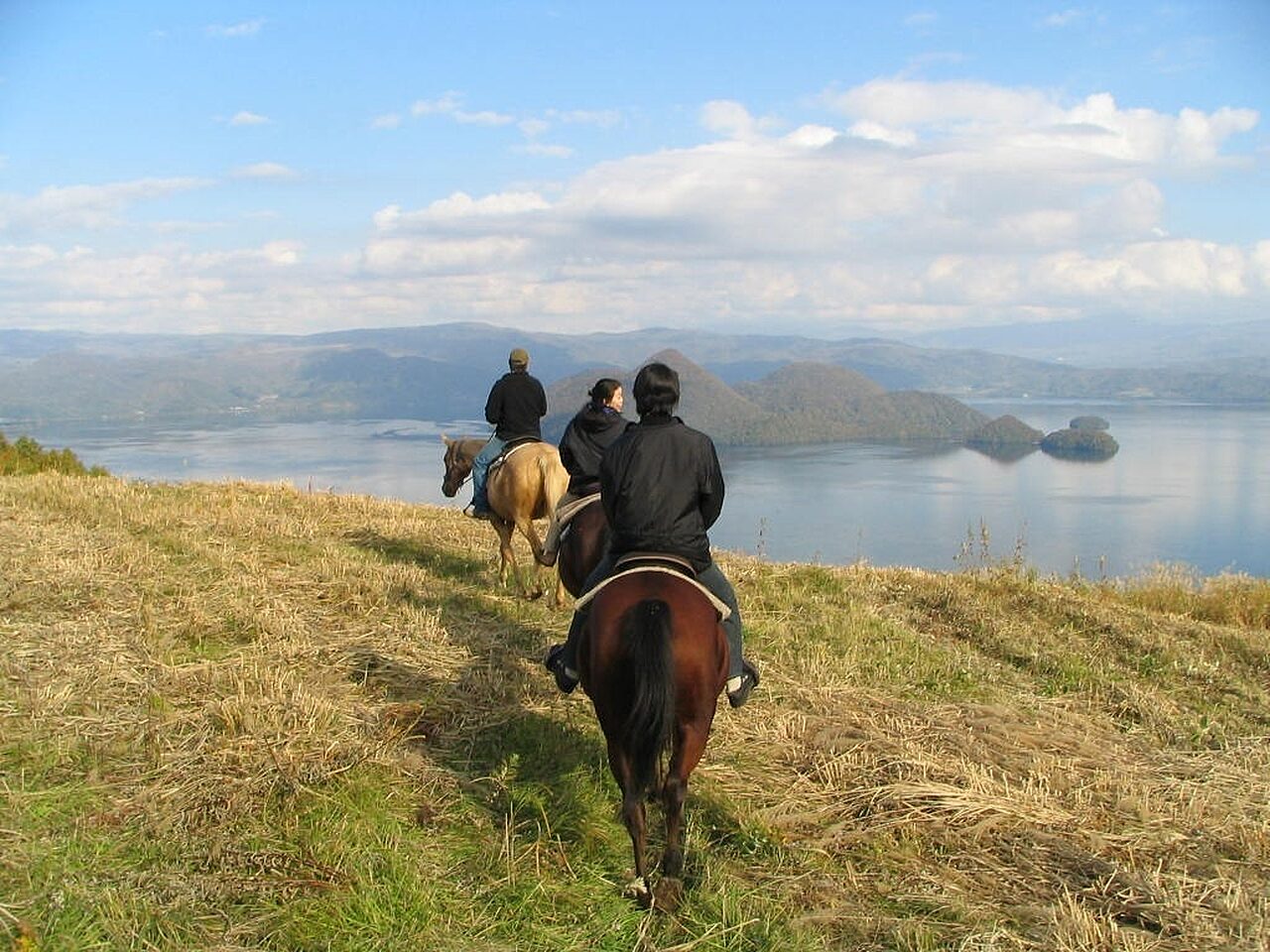 Take The Reins