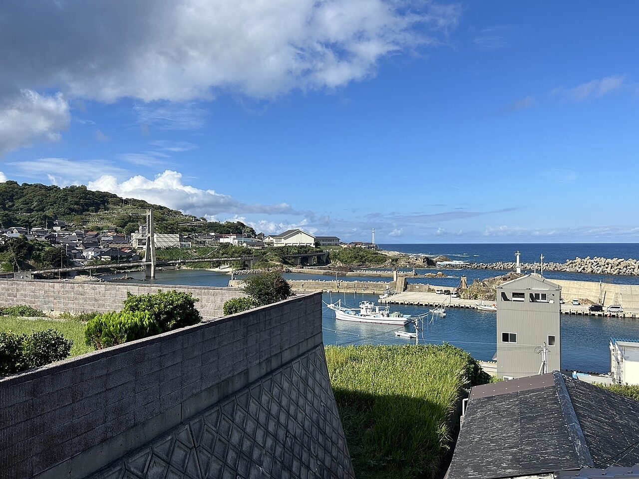 Tango View Main