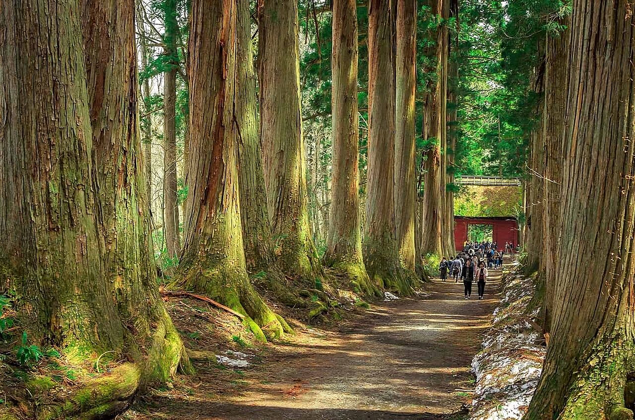 Togakushi shrine