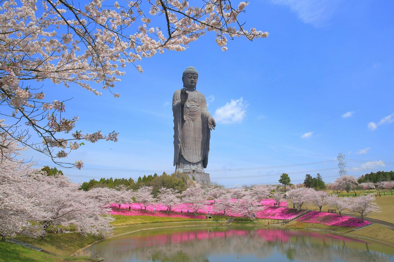 Ushiku Daibutsu