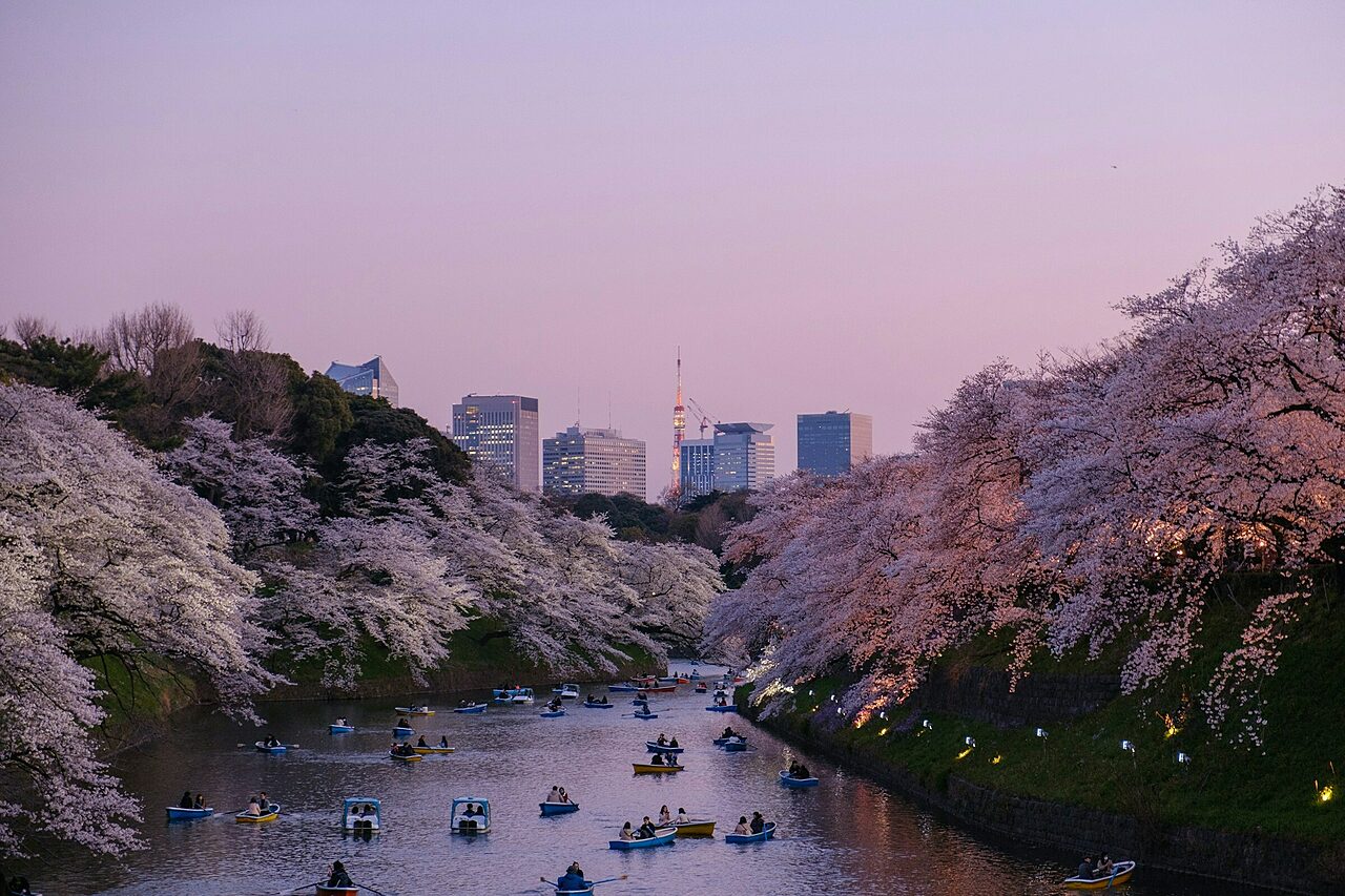 Water Hanami
