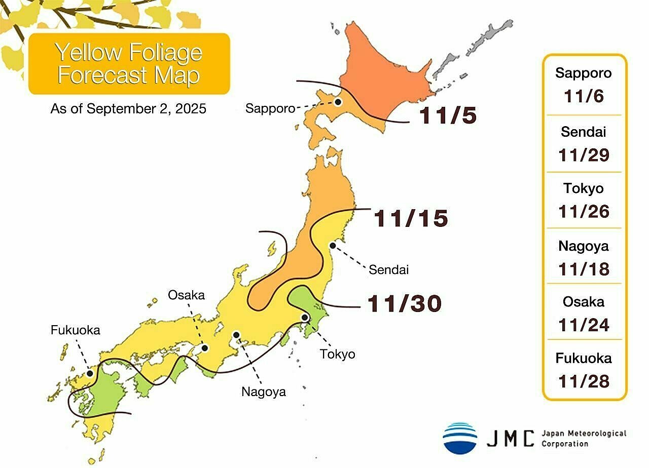 Yellow Foliage Forecast 2025 01