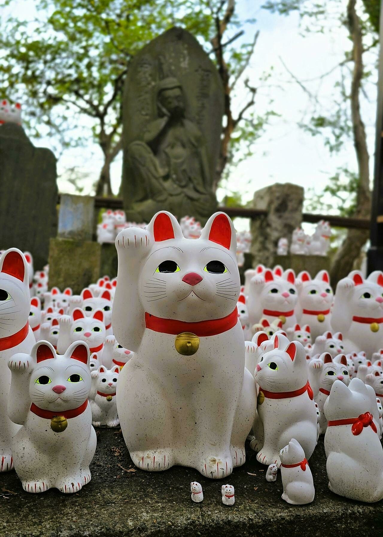 Gotokuji temple cats marcos