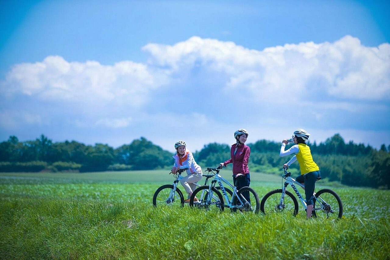 Mountain bike mv 1 e1586824439129