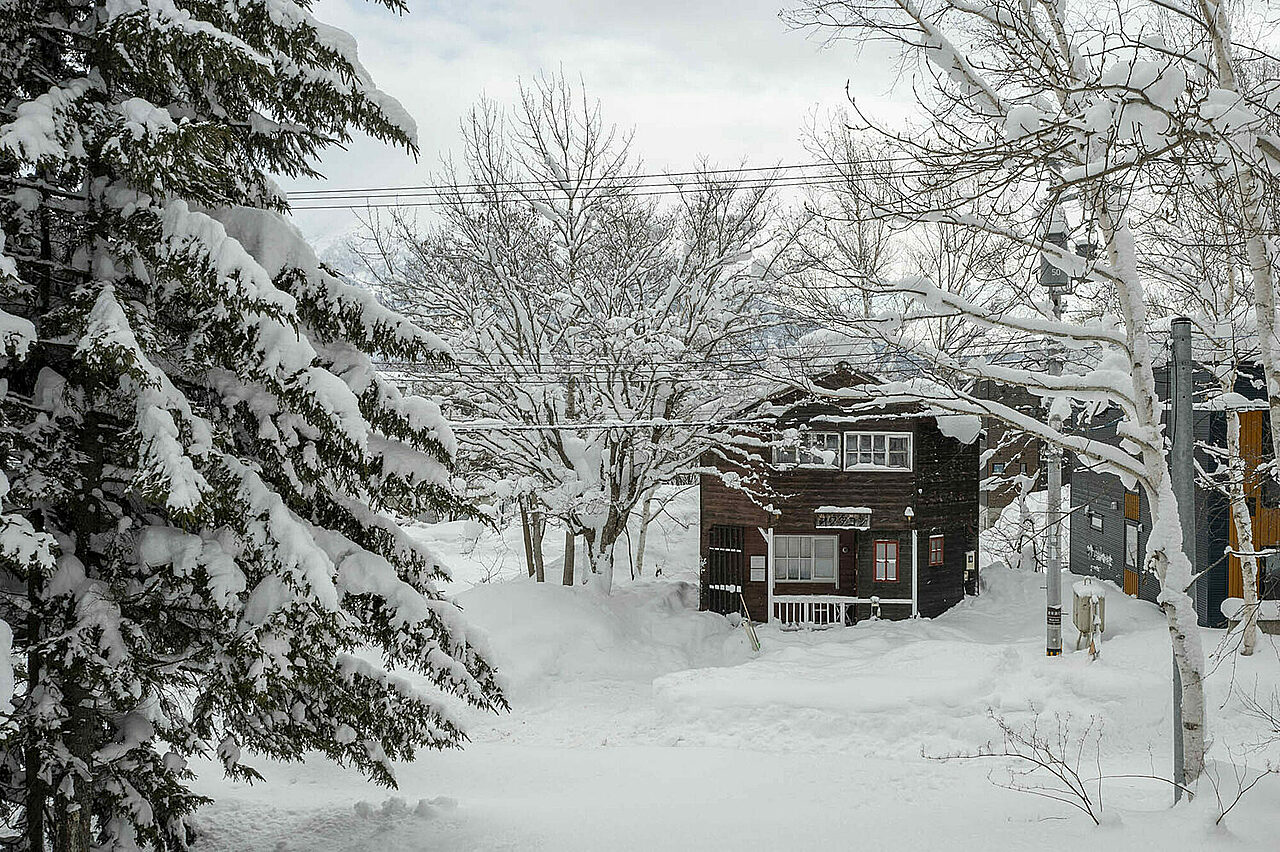 Octagon