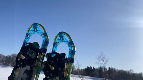 Snowshoe Nozawa