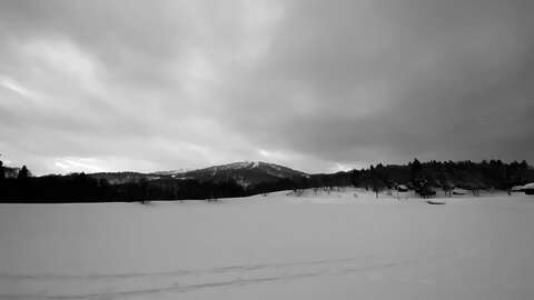 Winter T Racks Nozawa