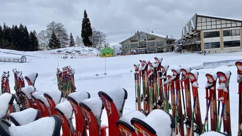 Snow Skis Nozawa