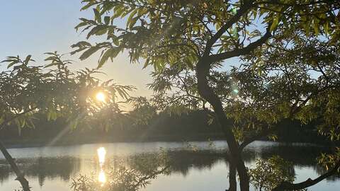 Summer Lake Nozawa2