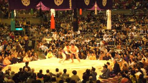 Sumo6