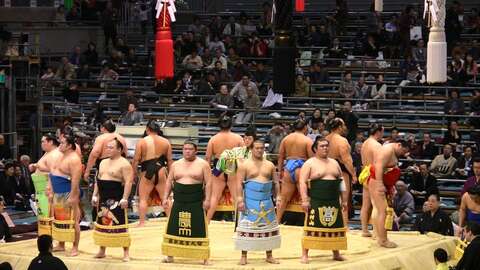 Sumo5