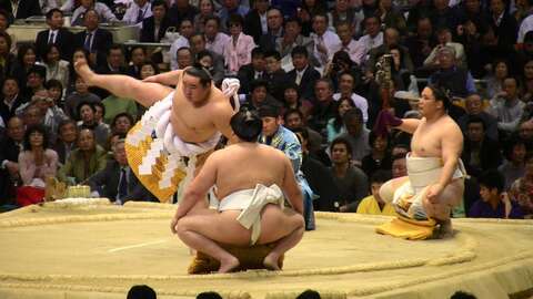 Sumo4
