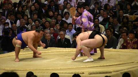Sumo1