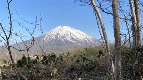 Mt Yoteifrom Middle