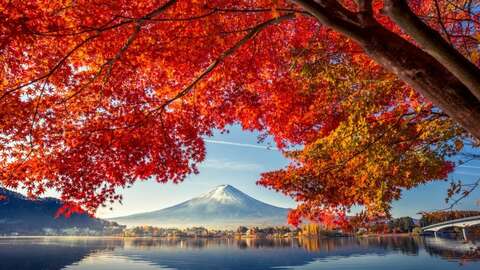 1 thumbnail autumn in japan