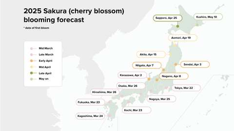 cherry blossom※プロフ確認 Tohoku Cherry Blossom Guide – Best Sakura Viewing Spots • JOC