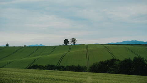 Kukan Uchiheader