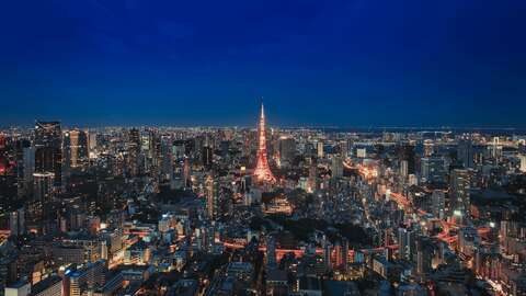 Tokyo Viewfor Limbs
