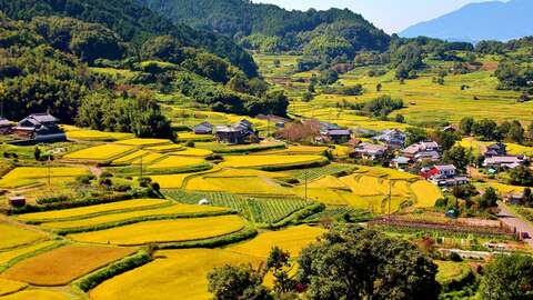 Inabuchi rice terraces in Asuka Village